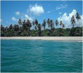 /album/baia-de-todos-os-santos-e-encantos-/ponta-dos-garcez-1-jpg1/